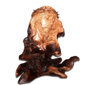 Dung nhan Chúa, rễ Trai